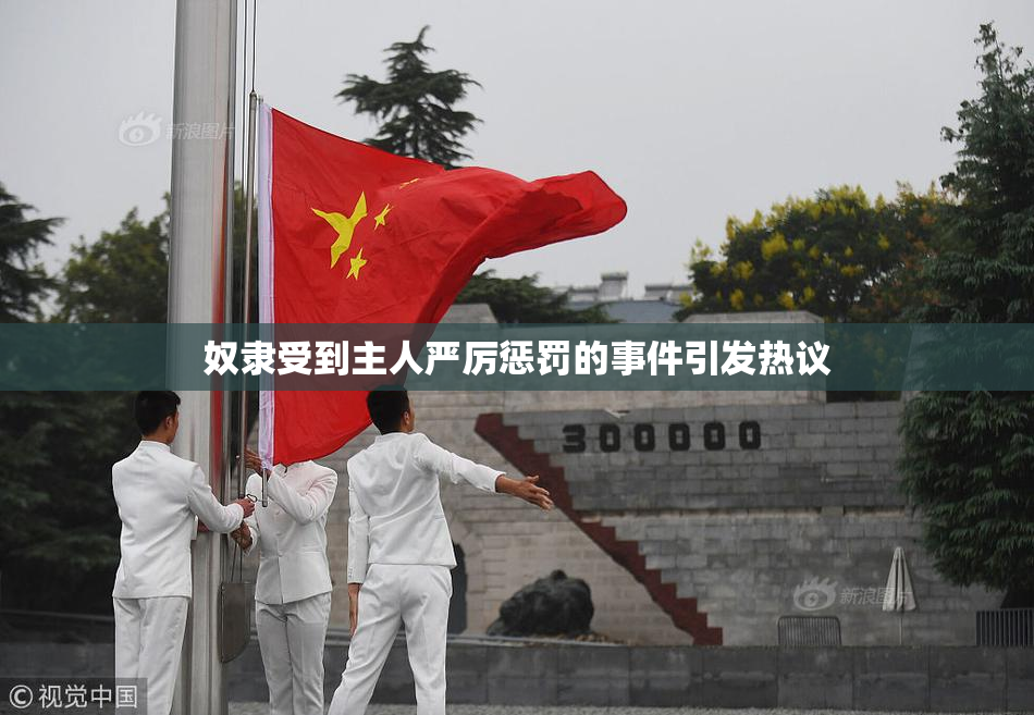 奴隶受到主人严厉惩罚的事件引发热议