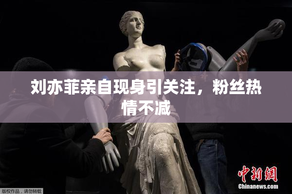 刘亦菲亲自现身引关注，粉丝热情不减