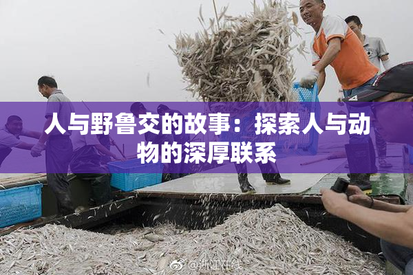 人与野鲁交的故事：探索人与动物的深厚联系