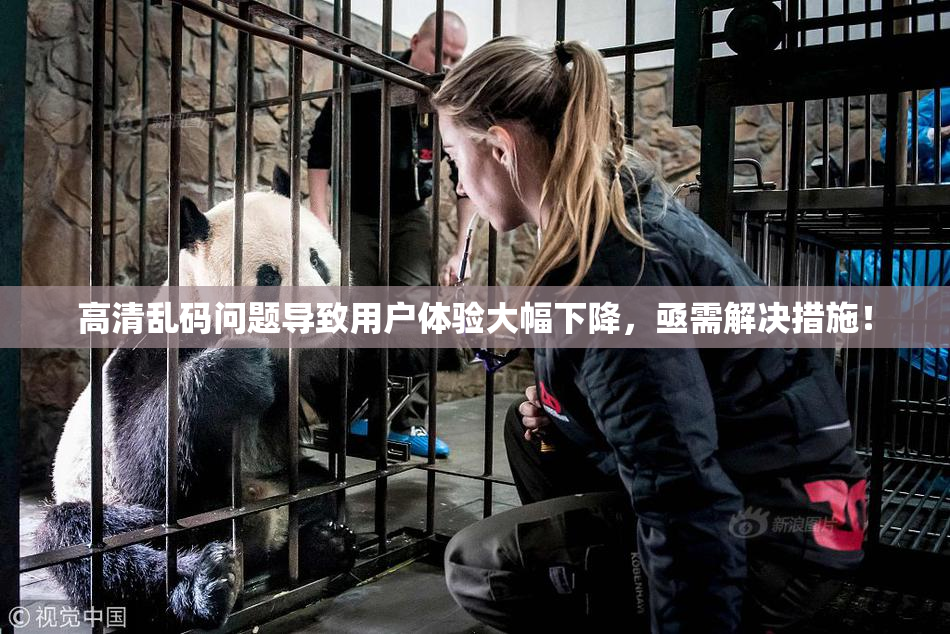 高清乱码问题导致用户体验大幅下降，亟需解决措施！