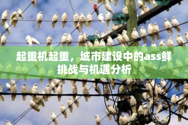 起重机起重，城市建设中的ass鲜挑战与机遇分析