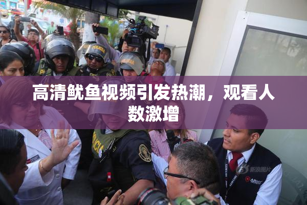 高清鱿鱼视频引发热潮，观看人数激增