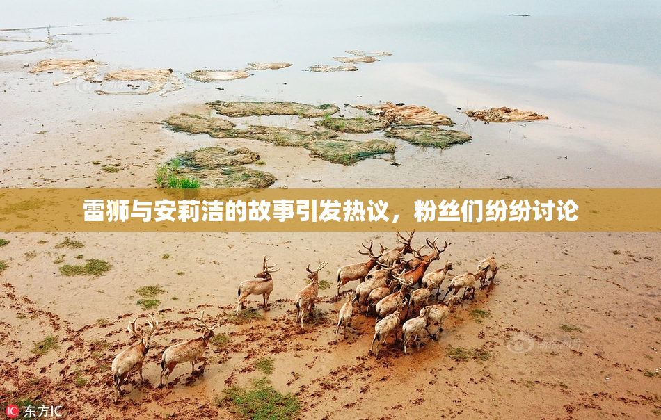 雷狮与安莉洁的故事引发热议，粉丝们纷纷讨论