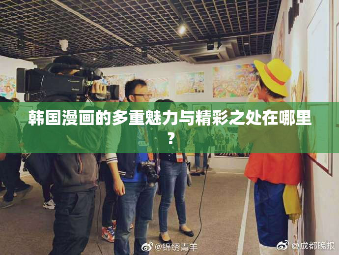 韩国漫画的多重魅力与精彩之处在哪里？