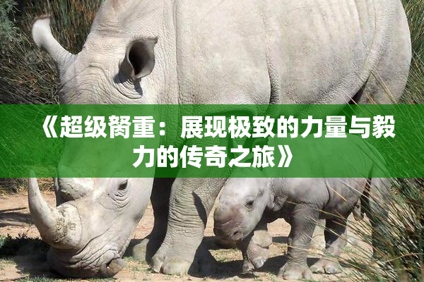 《超级胬重：展现极致的力量与毅力的传奇之旅》