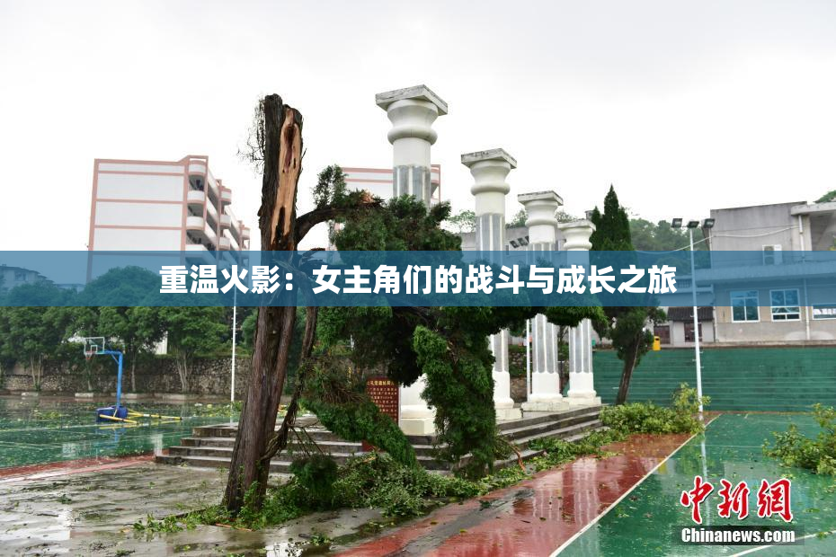 重温火影：女主角们的战斗与成长之旅