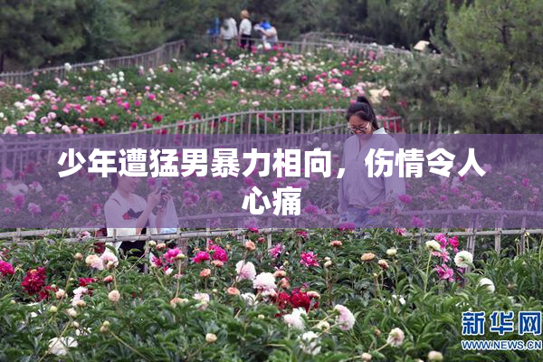 少年遭猛男暴力相向，伤情令人心痛