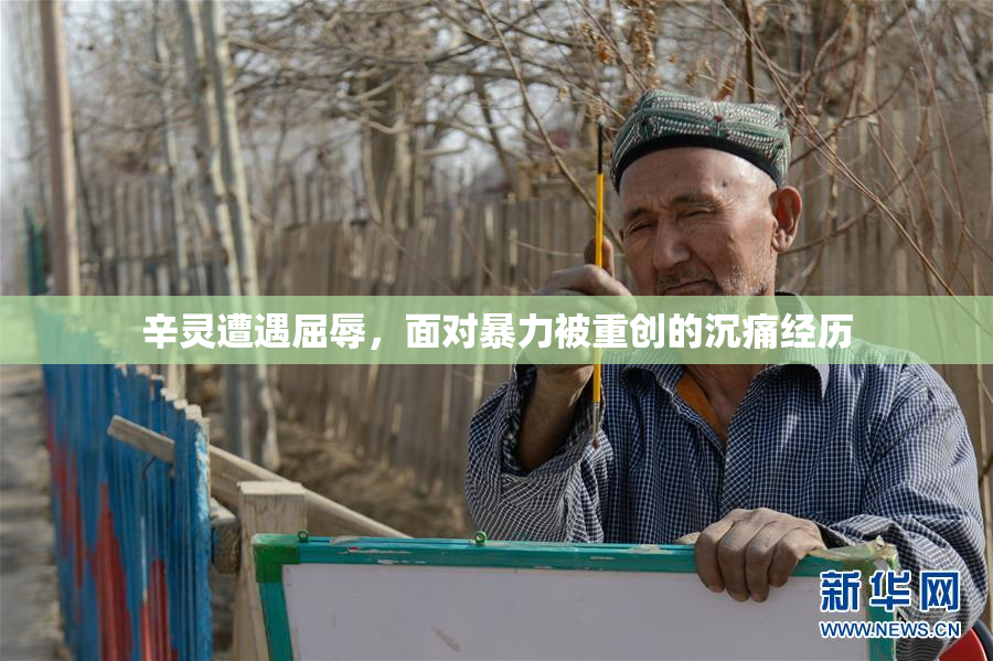 辛灵遭遇屈辱，面对暴力被重创的沉痛经历