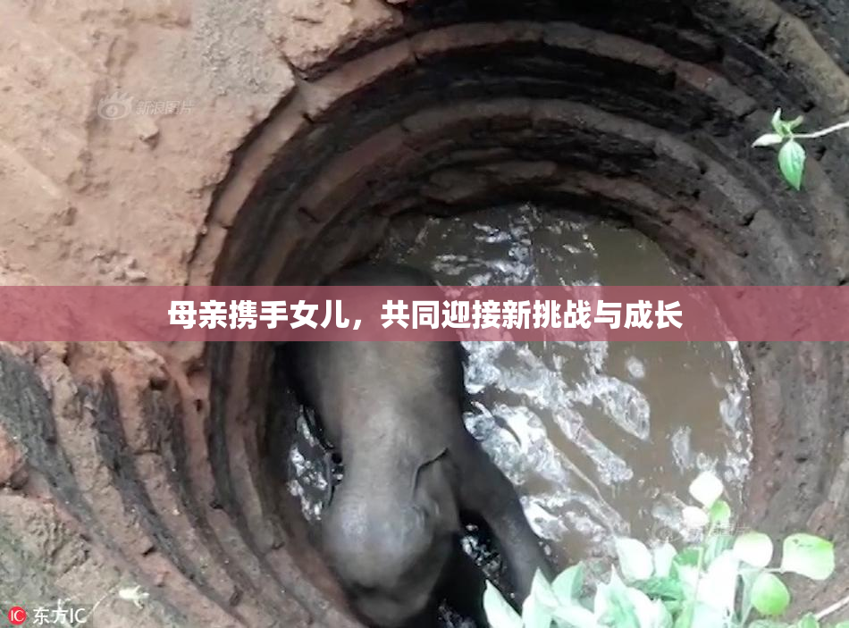 母亲携手女儿，共同迎接新挑战与成长