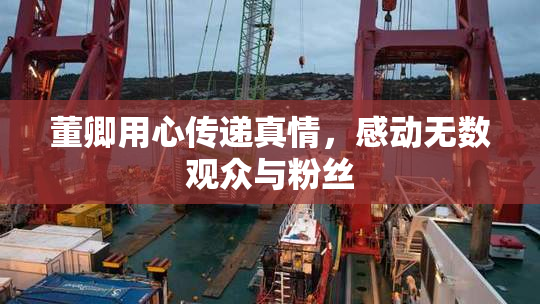 董卿用心传递真情，感动无数观众与粉丝