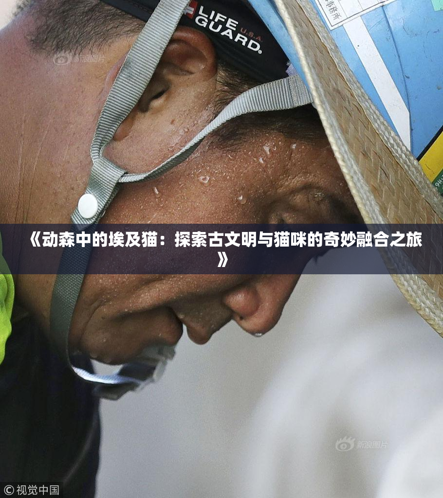 《动森中的埃及猫：探索古文明与猫咪的奇妙融合之旅》