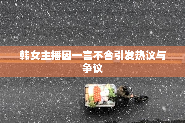 韩女主播因一言不合引发热议与争议