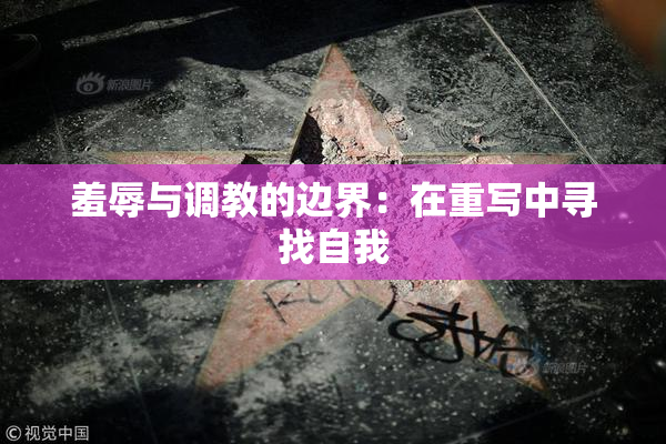 羞辱与调教的边界：在重写中寻找自我