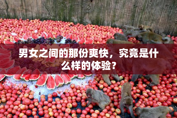 男女之间的那份爽快，究竟是什么样的体验？