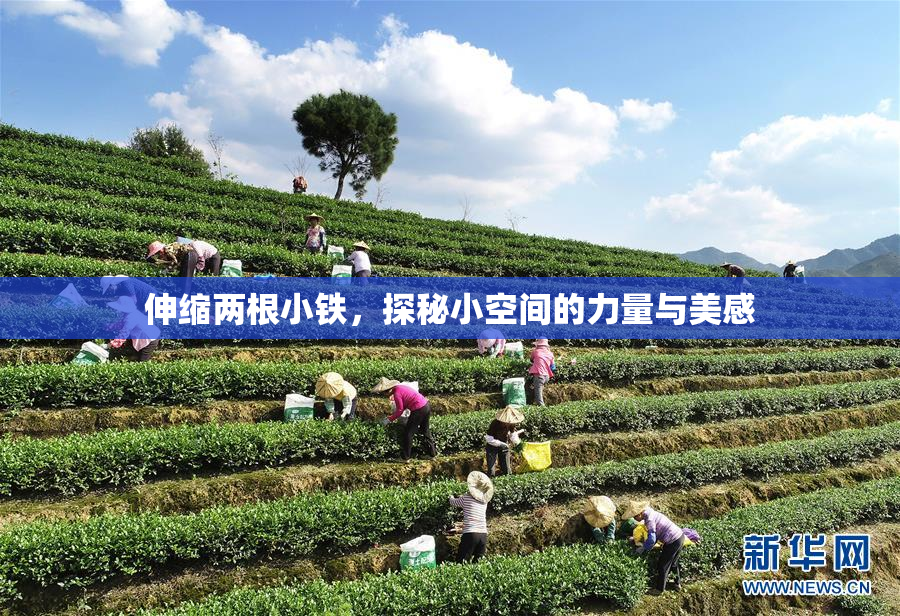 伸缩两根小铁，探秘小空间的力量与美感