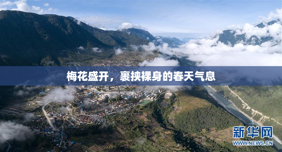 梅花盛开，裹挟裸身的春天气息