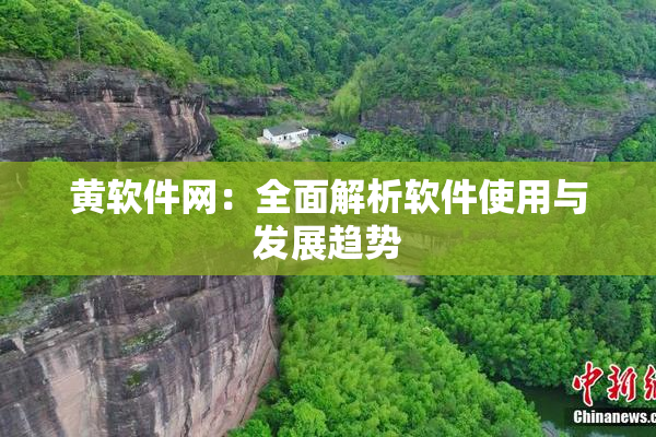 黄软件网：全面解析软件使用与发展趋势