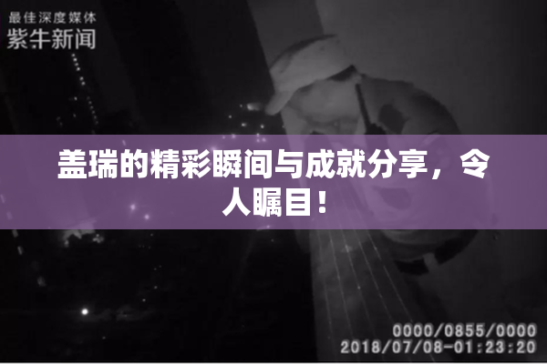 盖瑞的精彩瞬间与成就分享，令人瞩目！