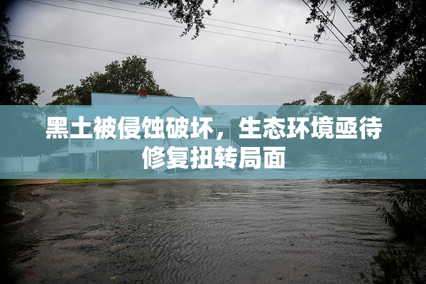 黑土被侵蚀破坏，生态环境亟待修复扭转局面