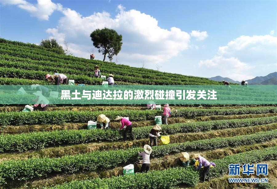 黑土与迪达拉的激烈碰撞引发关注