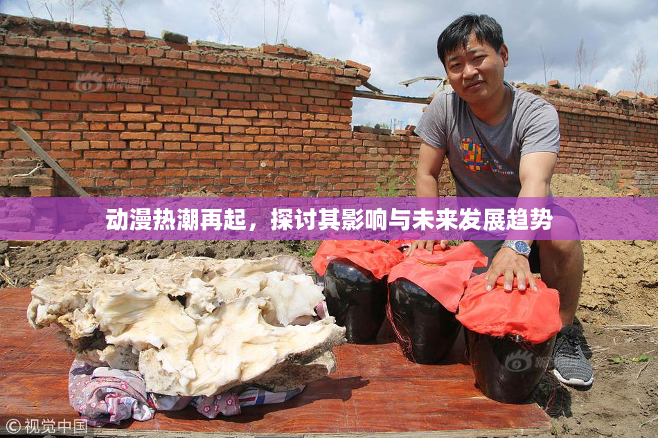 动漫热潮再起，探讨其影响与未来发展趋势