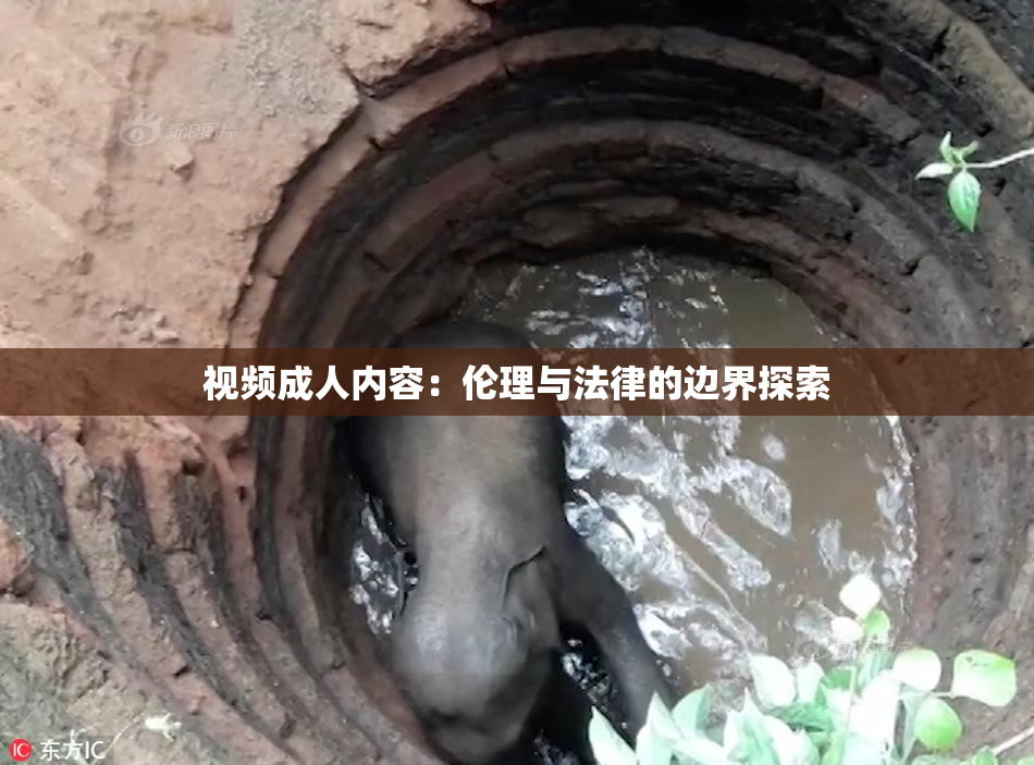 视频成人内容：伦理与法律的边界探索