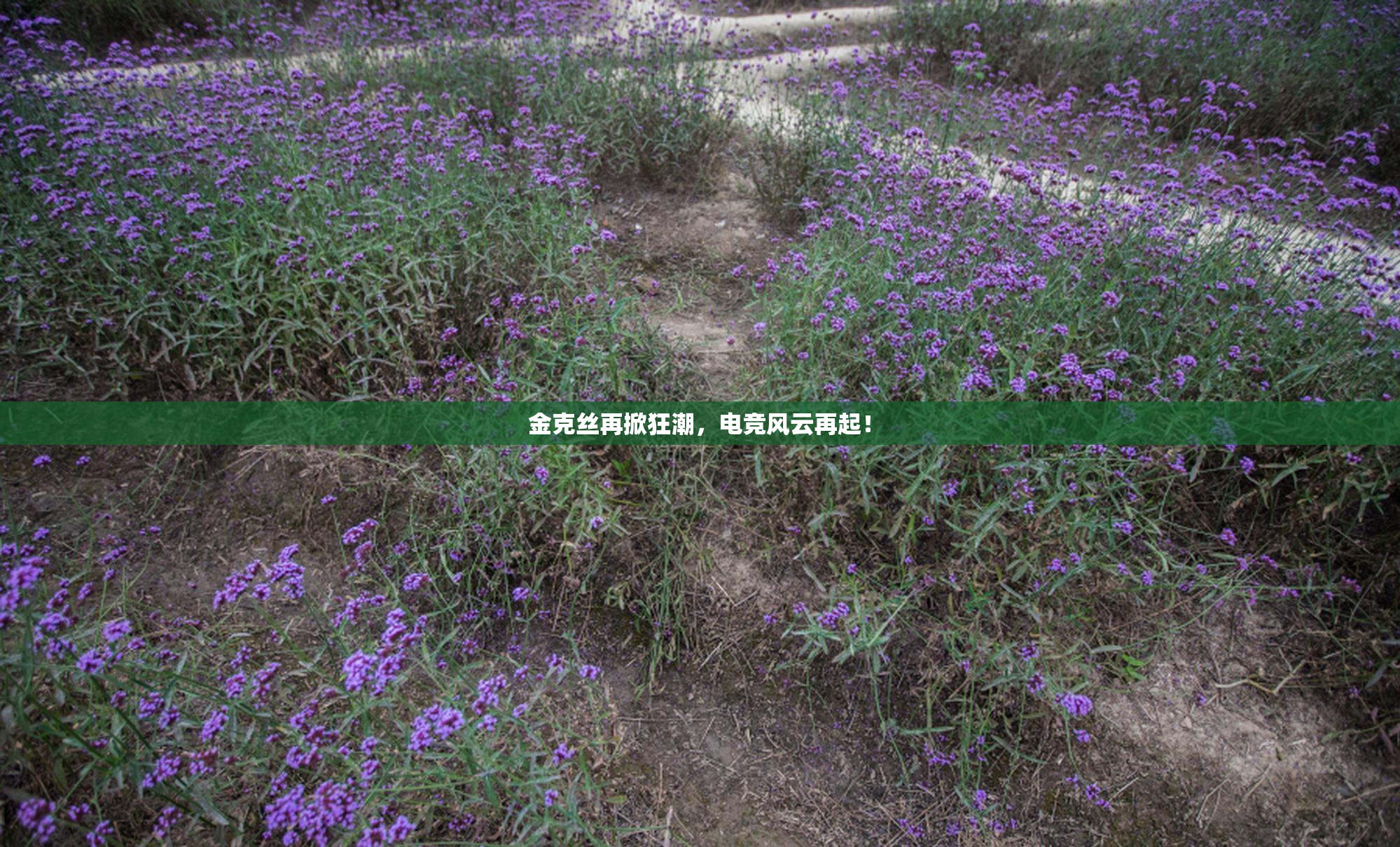 金克丝再掀狂潮，电竞风云再起！