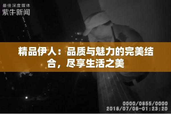 精品伊人：品质与魅力的完美结合，尽享生活之美