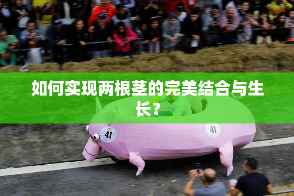 如何实现两根茎的完美结合与生长？