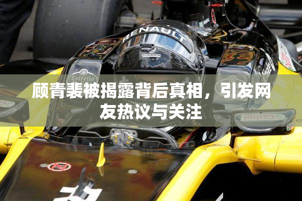 顾青裴被揭露背后真相，引发网友热议与关注