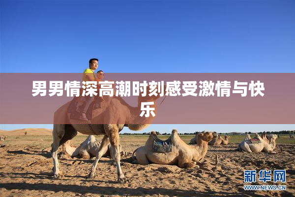 男男情深高潮时刻感受激情与快乐