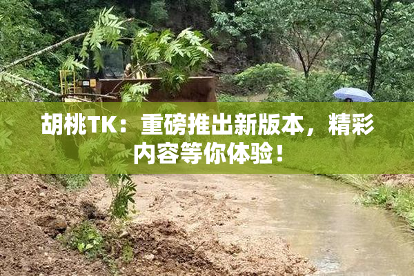 胡桃TK：重磅推出新版本，精彩内容等你体验！
