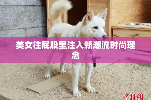 美女往屁股里注入新潮流时尚理念