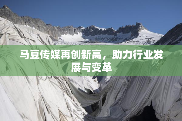 马豆传媒再创新高，助力行业发展与变革