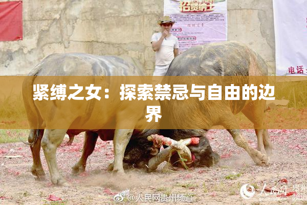 紧缚之女：探索禁忌与自由的边界