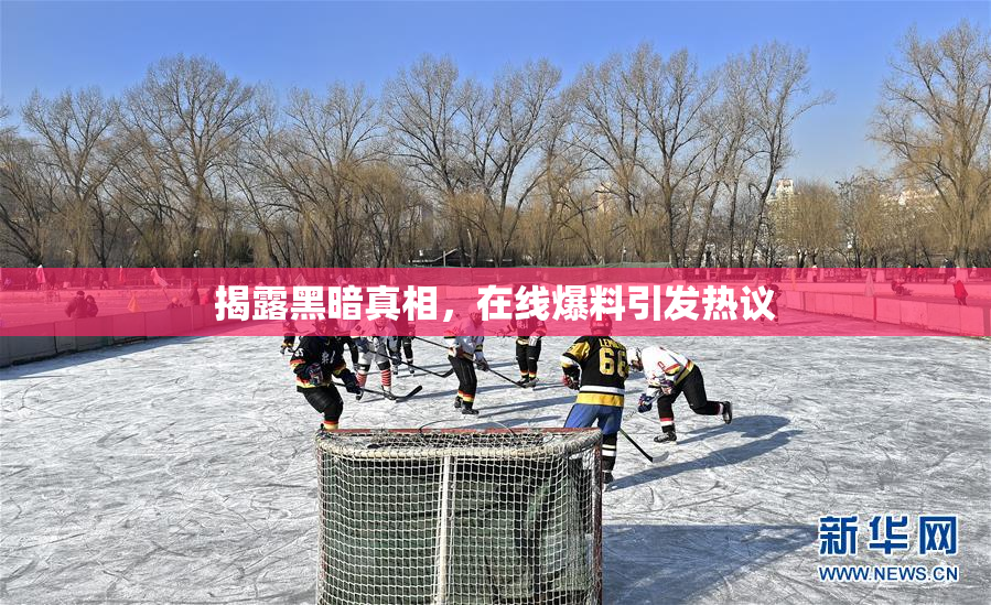 揭露黑暗真相，在线爆料引发热议