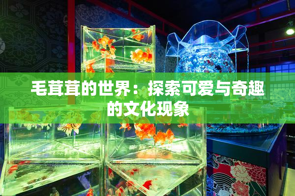 毛茸茸的世界：探索可爱与奇趣的文化现象