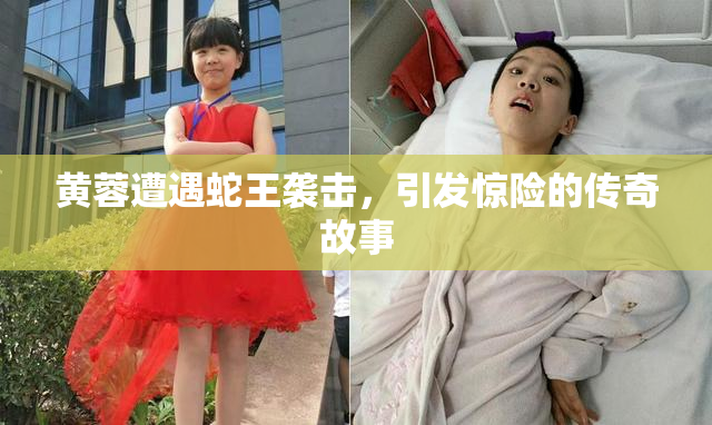 黄蓉遭遇蛇王袭击，引发惊险的传奇故事