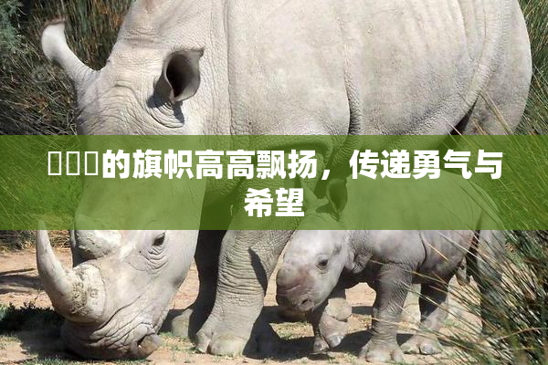 逹葢薾的旗帜高高飘扬，传递勇气与希望