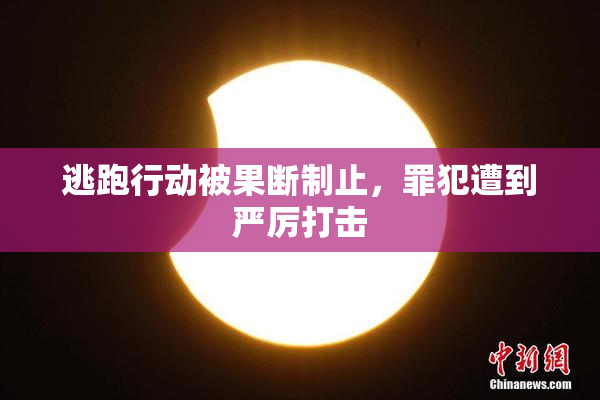逃跑行动被果断制止，罪犯遭到严厉打击