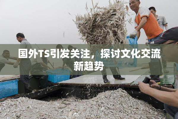 国外TS引发关注，探讨文化交流新趋势