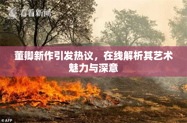 董卿新作引发热议，在线解析其艺术魅力与深意