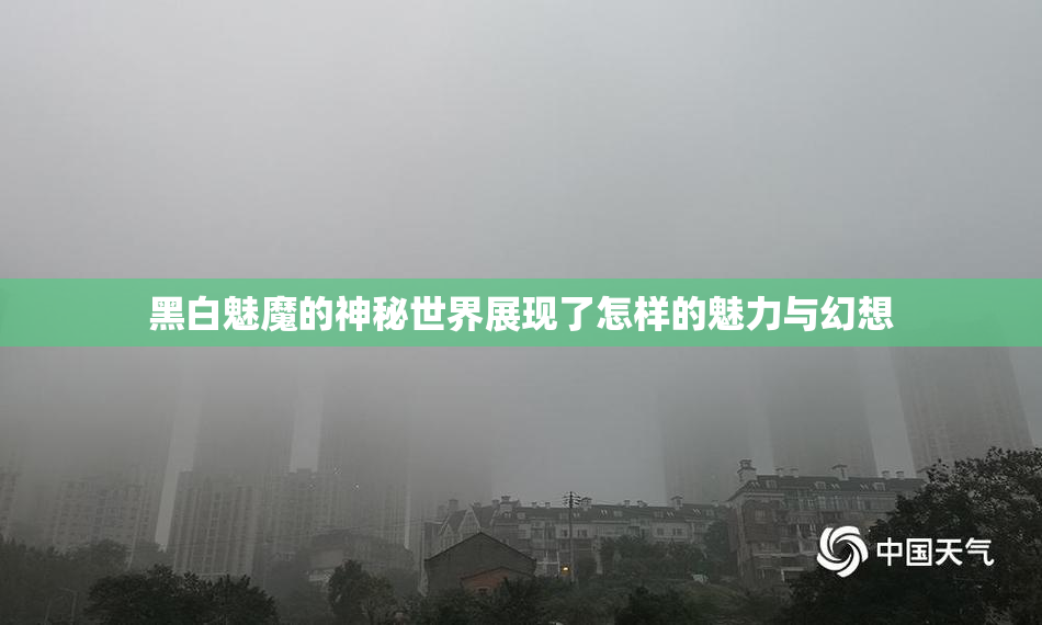 黑白魅魔的神秘世界展现了怎样的魅力与幻想