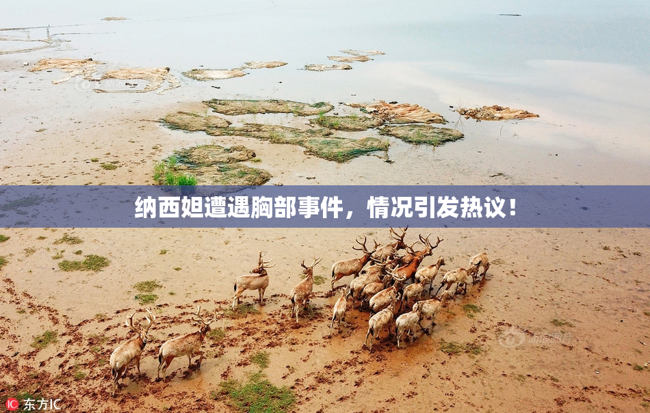 纳西妲遭遇胸部事件，情况引发热议！