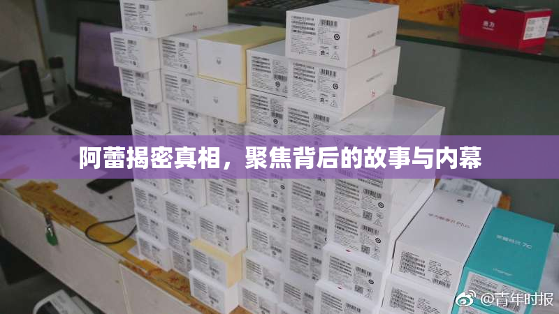 阿蕾揭密真相，聚焦背后的故事与内幕