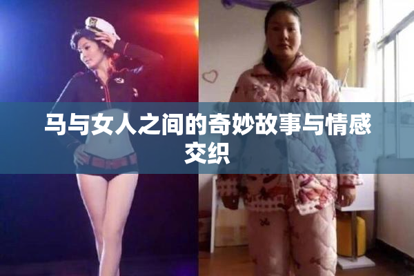 马与女人之间的奇妙故事与情感交织