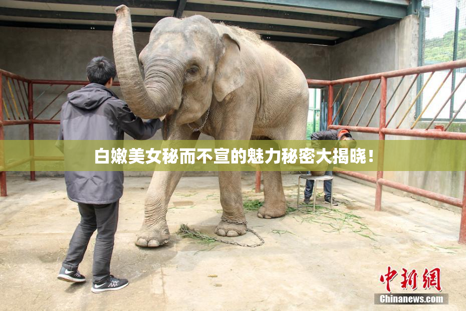 白嫩美女秘而不宣的魅力秘密大揭晓！