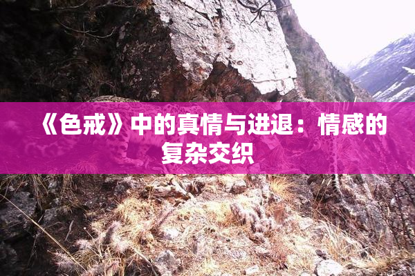 《色戒》中的真情与进退：情感的复杂交织