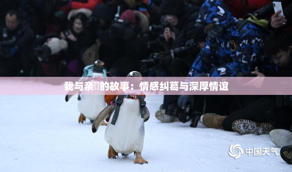 我与亲妺的故事：情感纠葛与深厚情谊