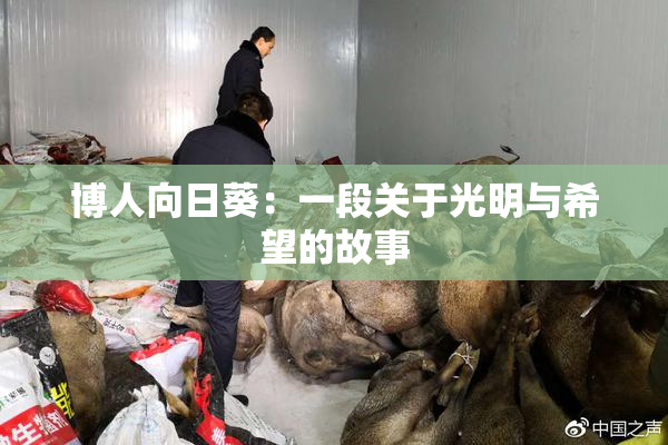 博人向日葵：一段关于光明与希望的故事
